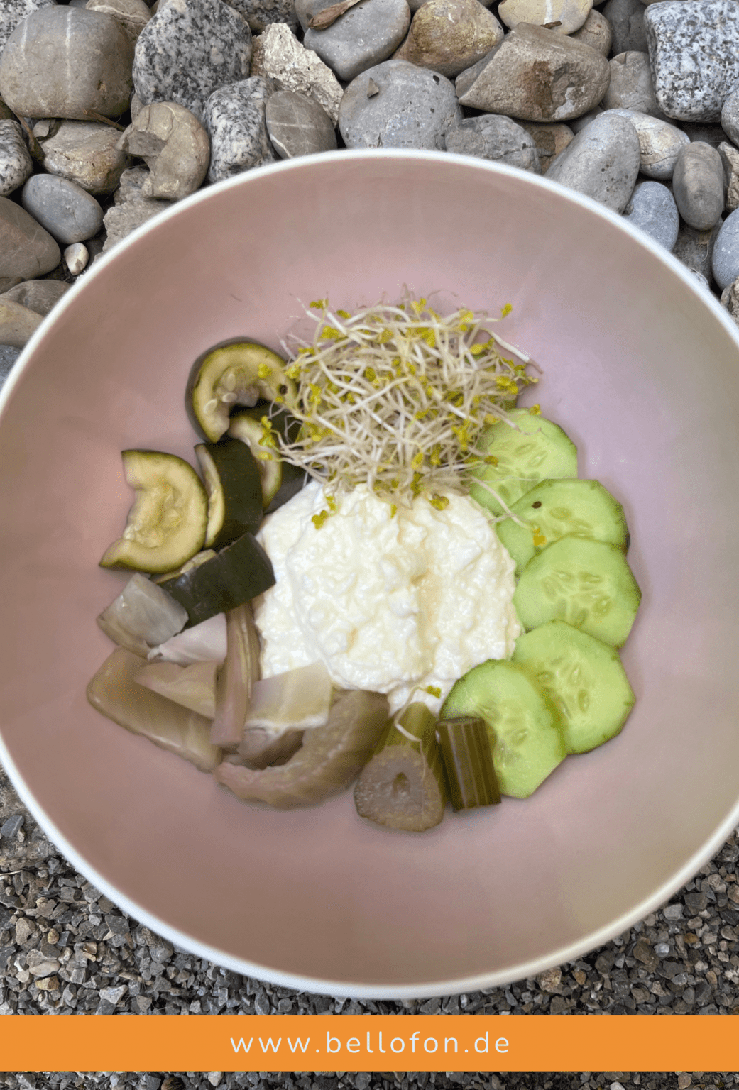 Hausgemachte Hühnersuppe für Hunde: Nährstoffreiche Kraftbrühe für eine ... Hausgemachte Hühnersuppe für Hunde: Nährstoffreiche Kraftbrühe für eine ...